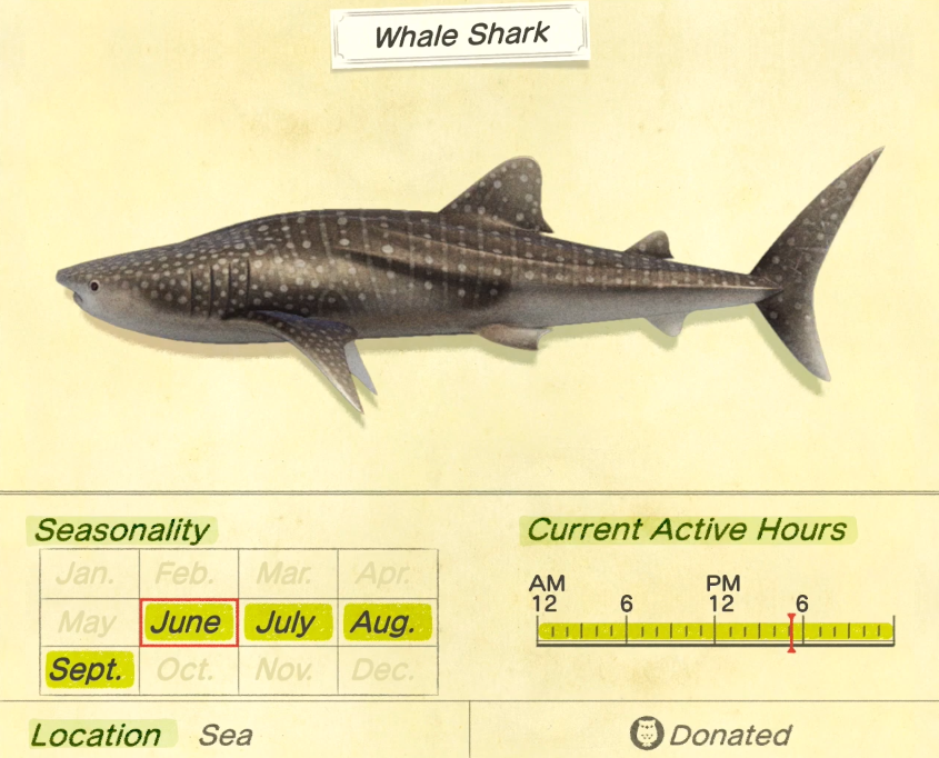 whale sharks in animal crossing new horizons