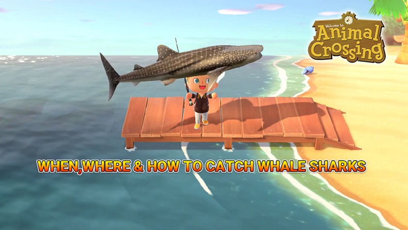 Animal Crossing: New Horizons Whale Sharks Guide - Sell Price, Size & How  To Catch A Whale Shark