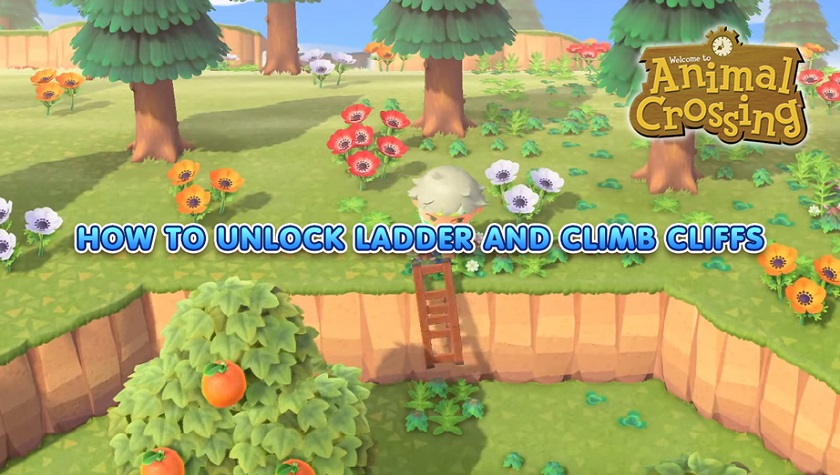 UNLOCK ACNH LADDER