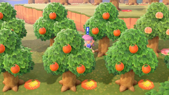 how to plant tree in animal crossing new horizons