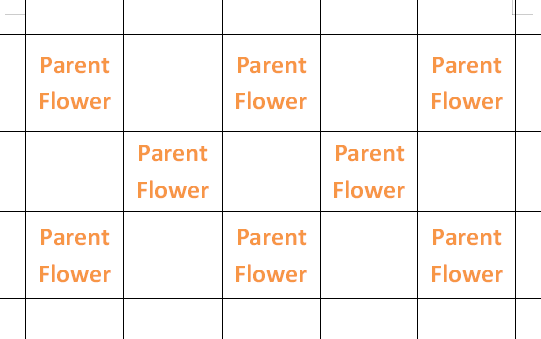 how to grow hybrid flowers in ACNH