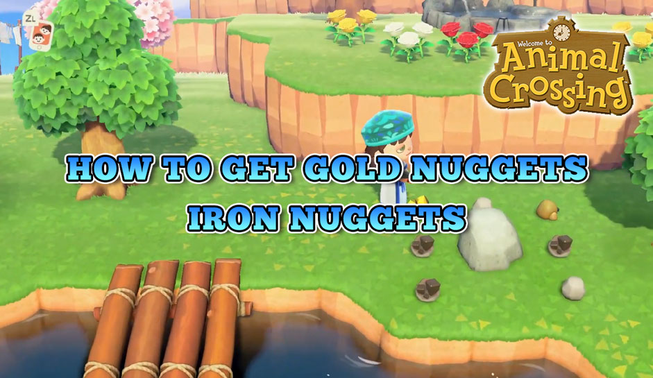get gold nugget ACNH