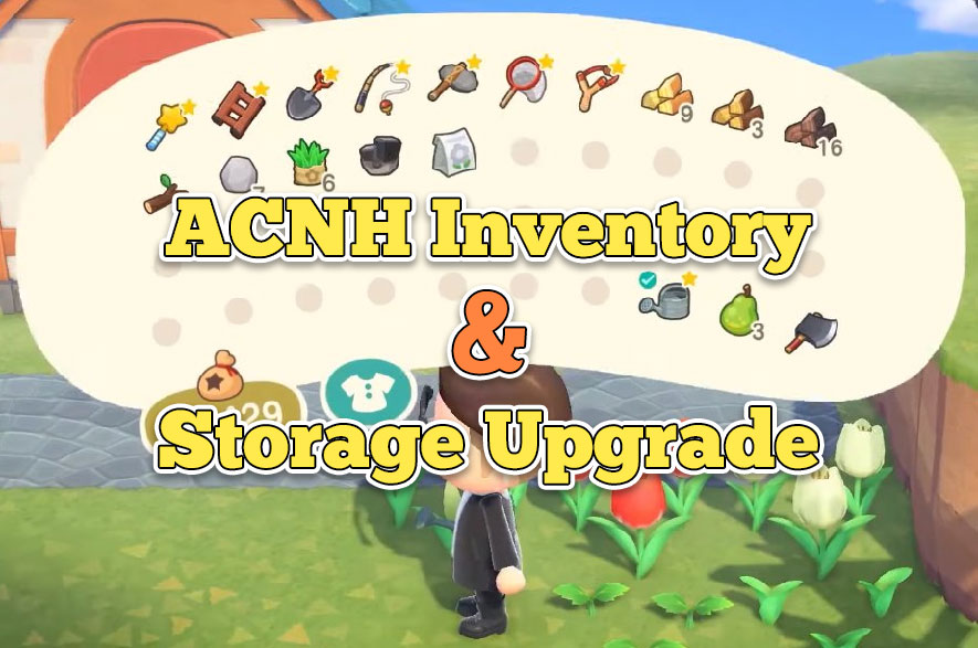 acnh inventory upgrade