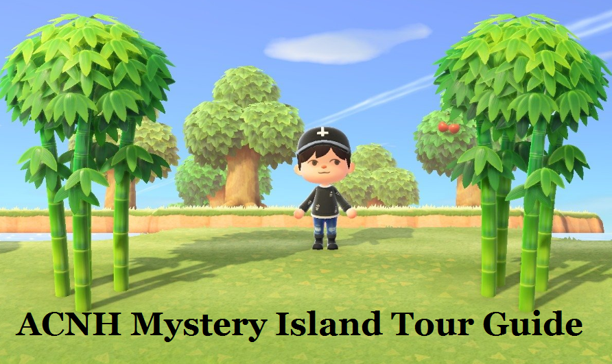 mystery tour island animal crossing ACNH Mystery Island Tour Guide