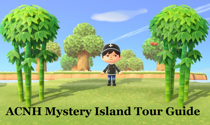 ACNH Mystery Island Tour Guide