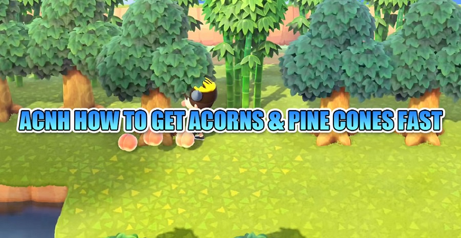 ACNH HOW TO GET ACORNS & PINE CONES FAST