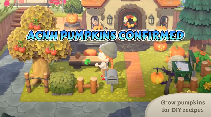 ACNH confirmed pumpkins