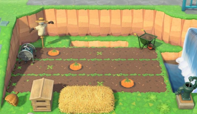 pumpkin vegetable garden