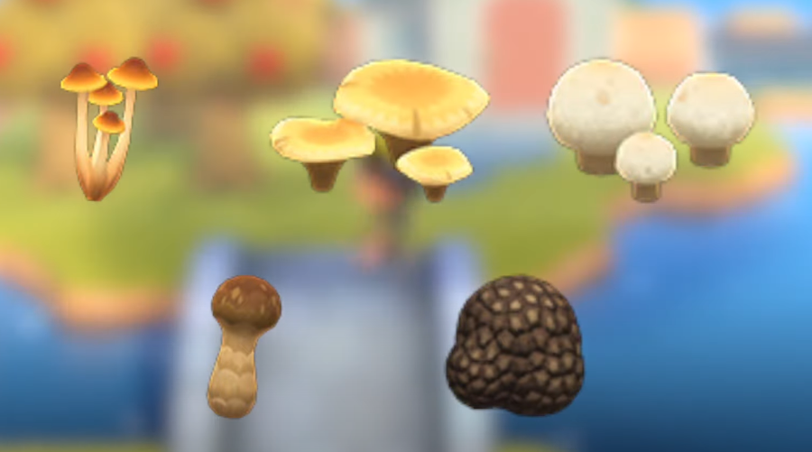 Animal Crossing New Horizons Mushrooms
