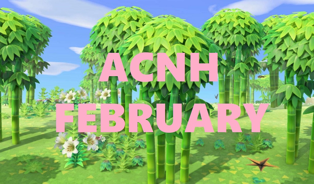 Animal Crossing New Horizons February Updates & Changes 2021
