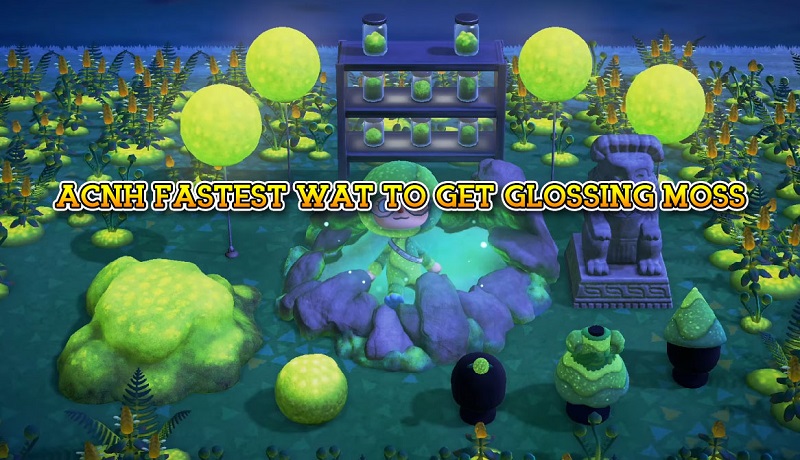 FASTEST WAT TO GET ALL GLOSSING MOSS ITEMS