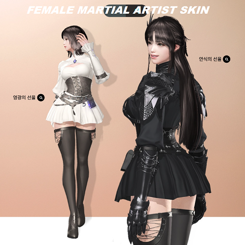 Lost Ark Ark Pass 2 Skins - Female Martial Artist Cosmetics