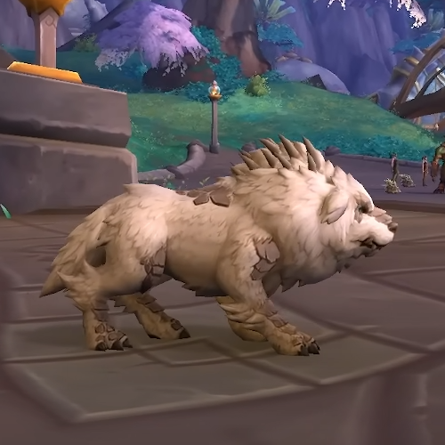 WoW Dragonflight Best Hunter Pets - Bakars