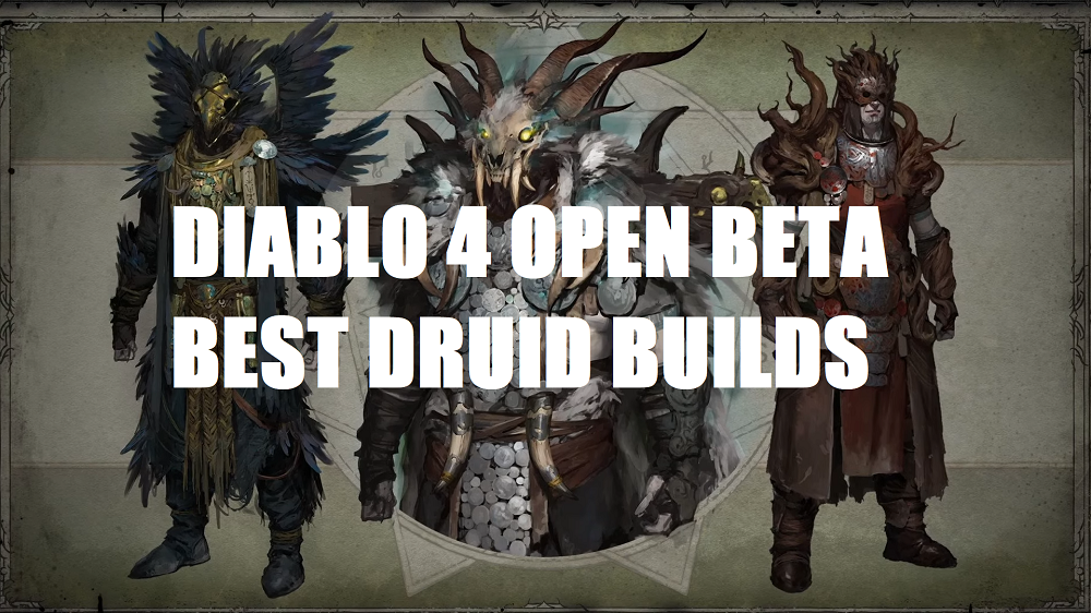 Diablo 4 Best Druid Builds for Leveling