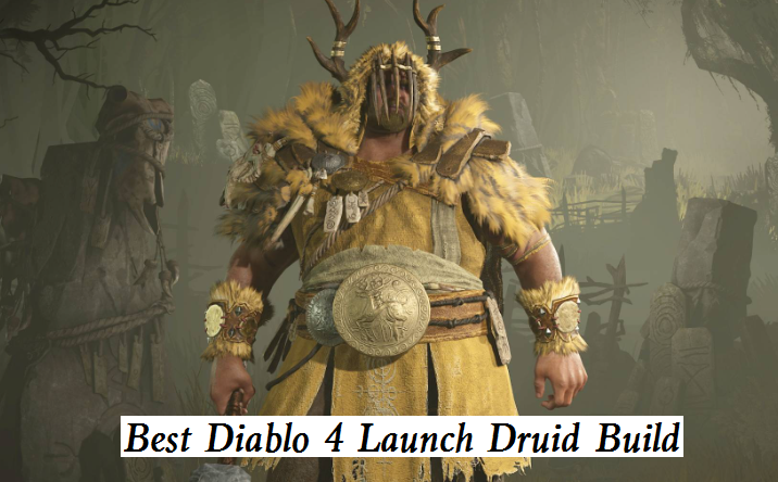 Best Diablo 4 Launch Druid Build