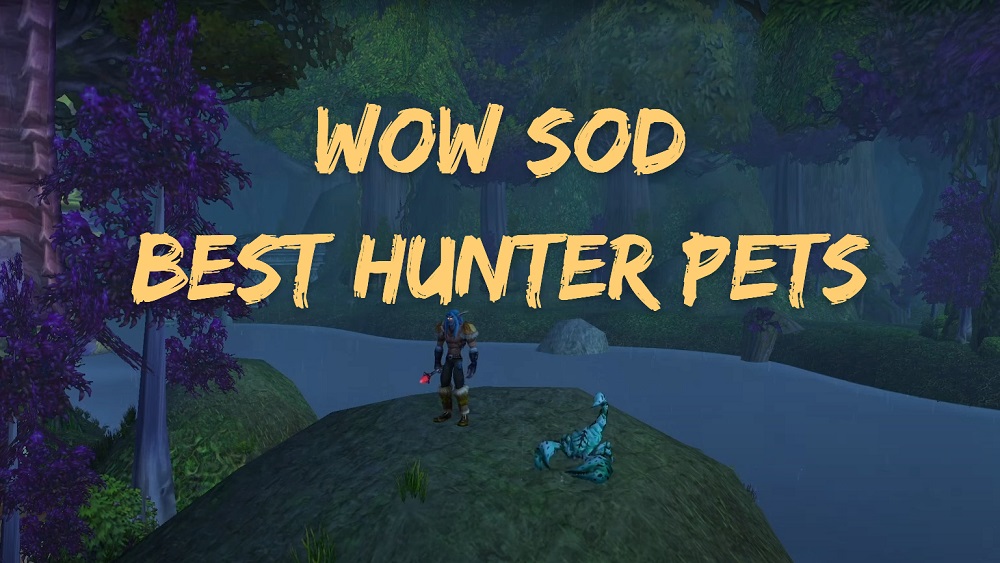 WoW Season of Discovery Best Hunter Pets-fotor-2023120416196