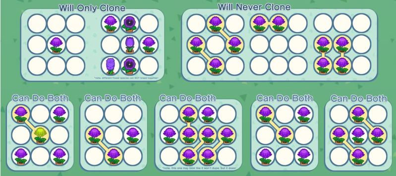 ACNH Flower Cloning Layouts