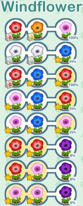 ACNH Windflowers Breeding Layout