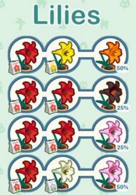 ACNH Lilies Breeding Layout