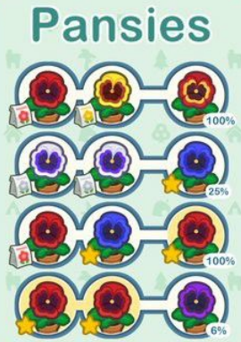 ACNH Pansies Breeding Layout