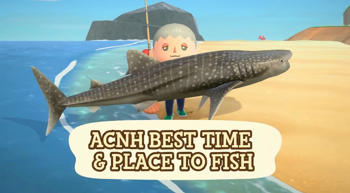 ACNH BEST TIME (MONTH) & PLACE TO FISH